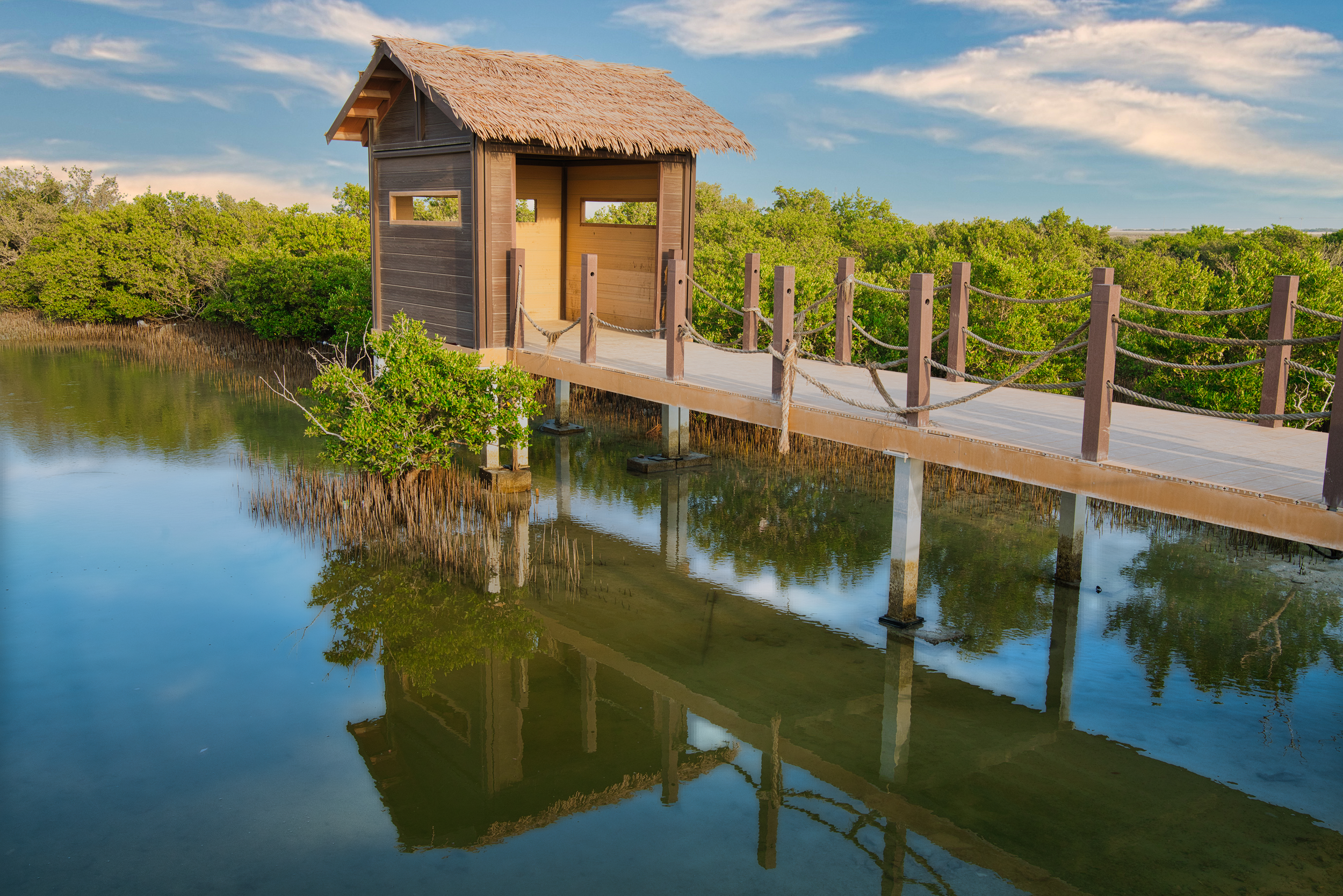 North Island Tour – Qatar